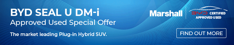 Seal U DM Skinny Banner